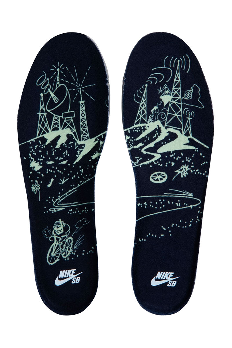 NIKE SB DUNK LOW PRO "VERDUGO MOUNTAIN"