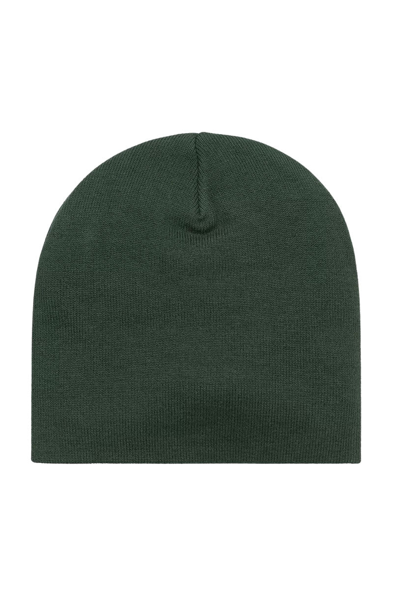 CARHARTT WIP HELIX BEANIE Sycamore Tree / Pale Olive