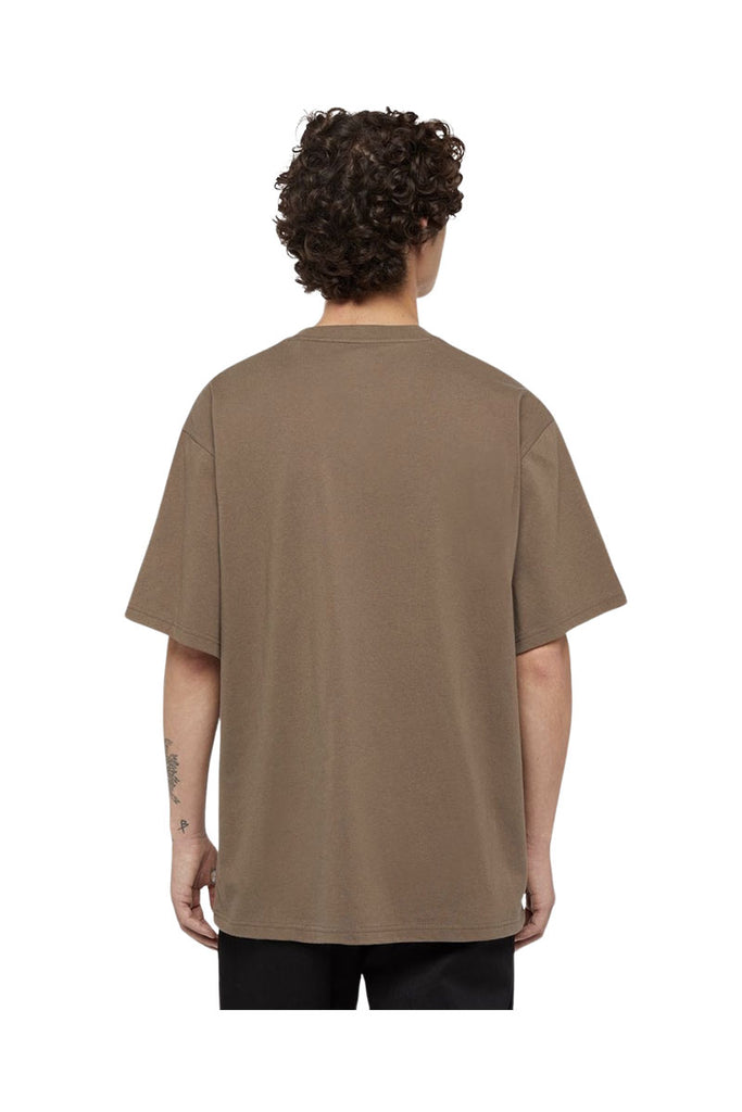 DICKIES CLANCY HEAVYWEIGHT T SHIRT Mushroom