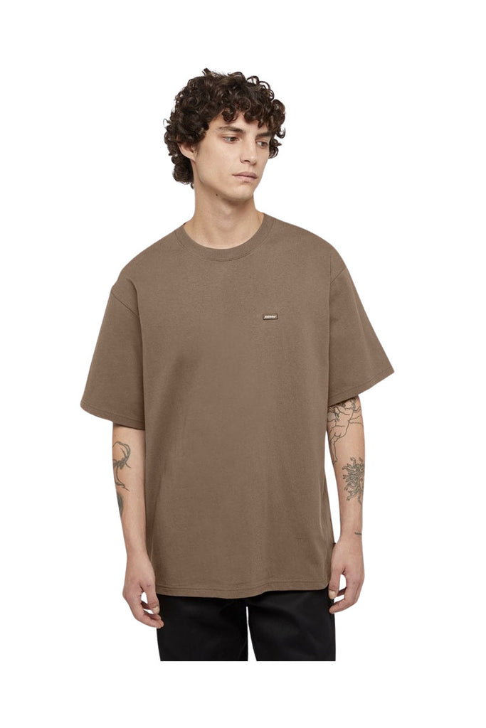 DICKIES CLANCY HEAVYWEIGHT T SHIRT Mushroom