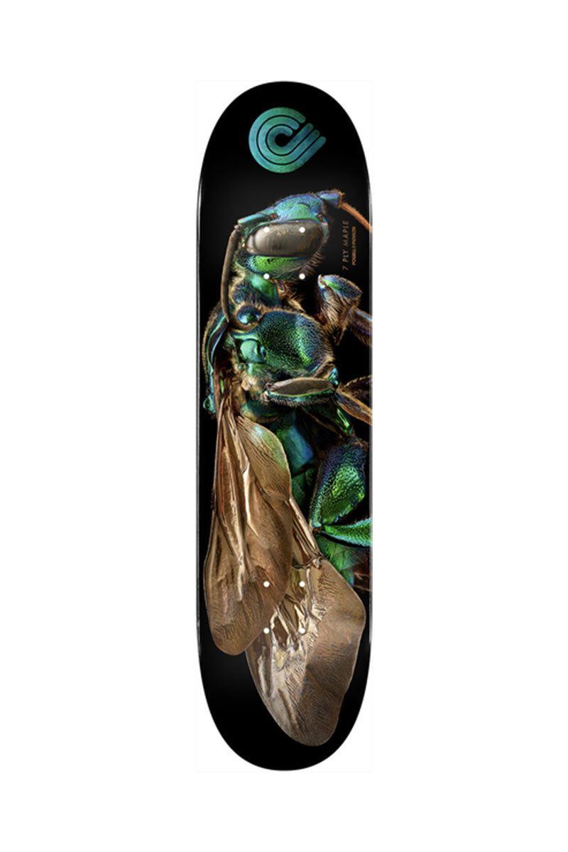 POWELL DECK BISS ORCHID CUCKOO BEE 8"