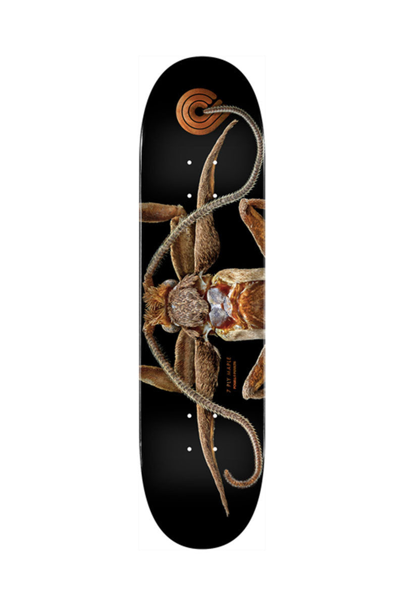 POWELL DECK BISS MARION MOTH 8.25"