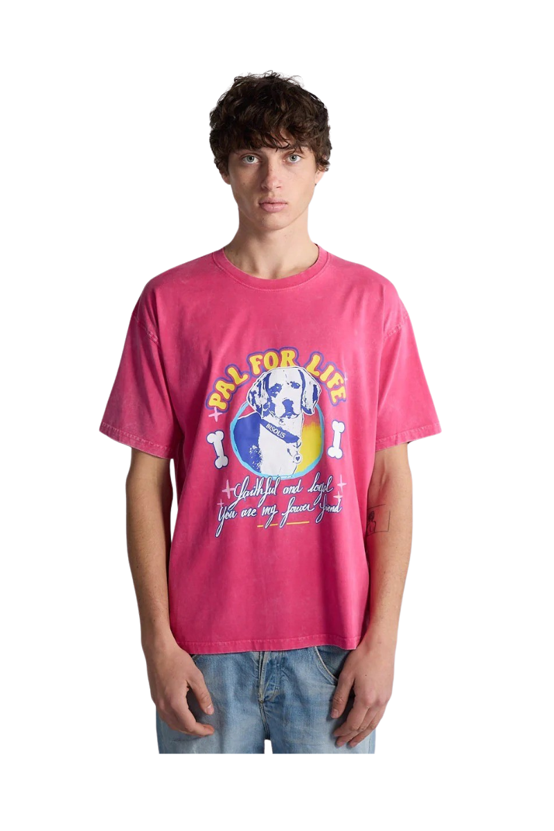 BISOUS SKATEBOARDS PAL 4 LIFE T-SHIRT Washed Pink