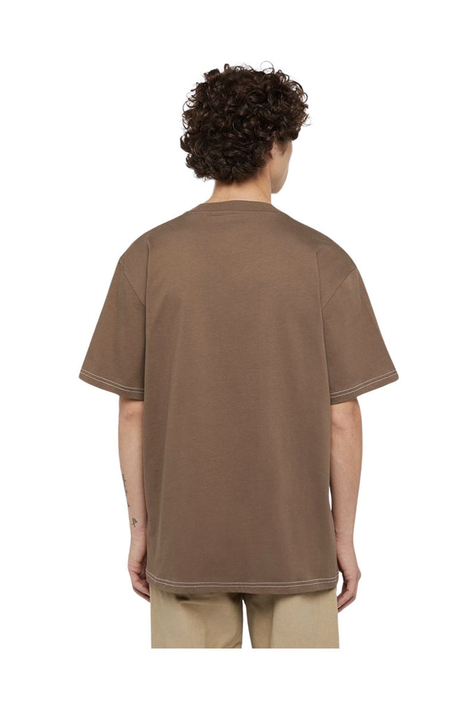 DICKIES PHILIPSBURG T-SHIRT Mushroom