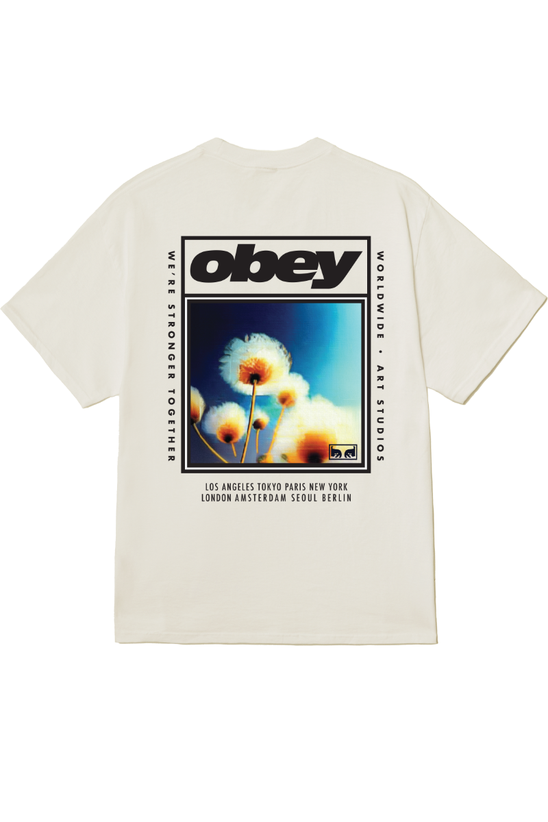 OBEY STRONGER TOGETHER T-SHIRT Vintage White