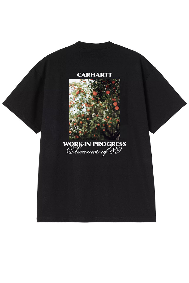 CARHARTT WIP WARM VIEWS T-SHIRT Black